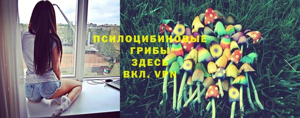 спайс Баксан