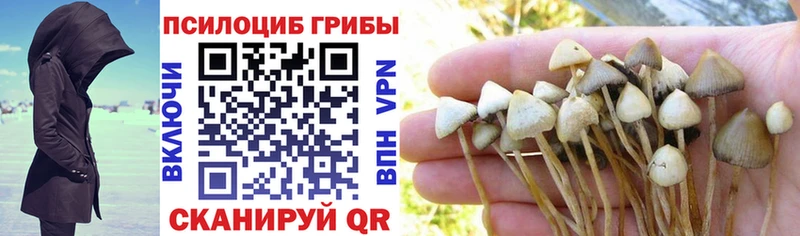 Галлюциногенные грибы Magic Shrooms  Купить где  Афипский 